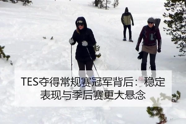 TES夺得常规赛冠军背后：稳定表现与季后赛更大悬念